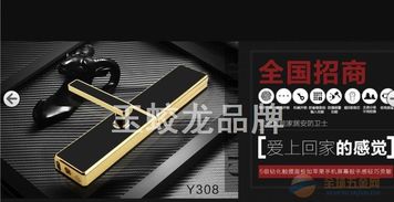 廠價直銷，開啟智慧安防新生活——揭秘高端智能品牌指紋密碼防盜鎖308